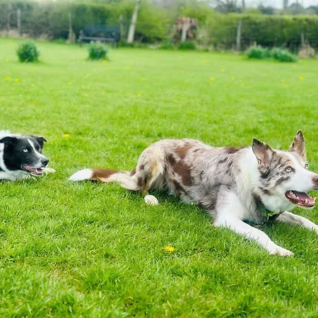 펜션 2 Bed In Arnside Silverdale 90530 Beetham