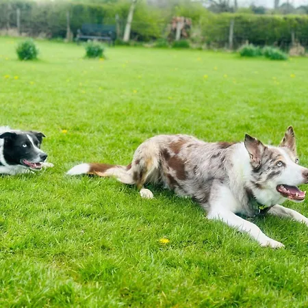 2 Bed In Carnforth Oc-90530 Beetham